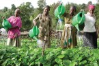 Foto k novince: Vychází nová 7.G: Africká krása